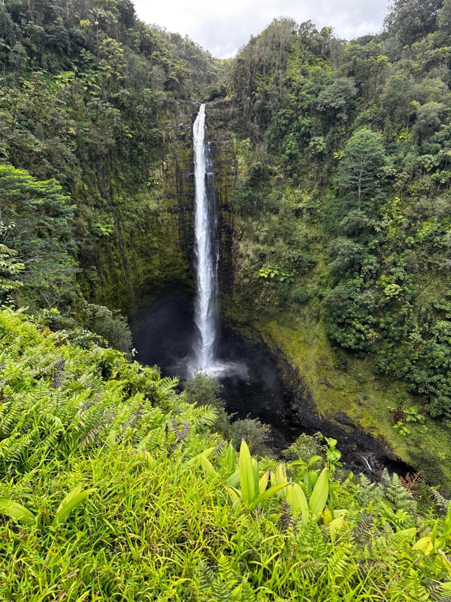 Wild Ginger Hotel Hilo Luaran gambar